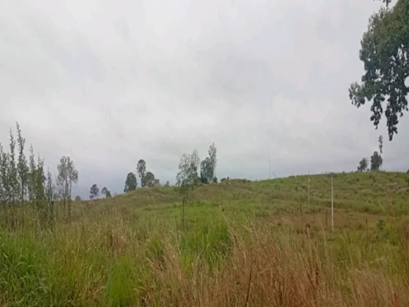 Foto 6 de 16: Terreno em leilão em Espigão D'oeste - RO — Terreno Espigão D'oeste RO