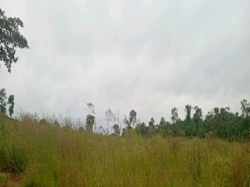 Foto 15 de 16: Terreno em leilão em Espigão D'oeste - RO — Terreno Espigão D'oeste RO