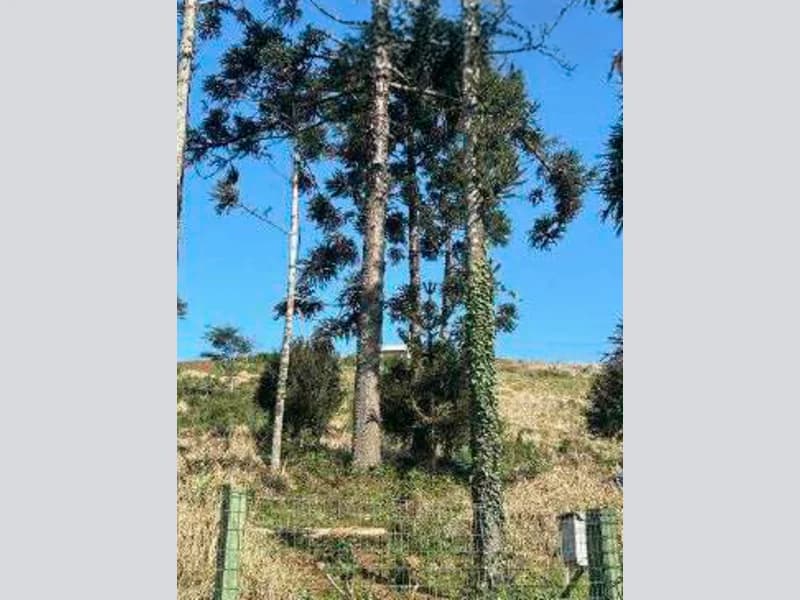 Foto 2 de 3: Terreno em leilão em Aratiba - RS, bairro Jardins — Terreno - Aratiba - RS