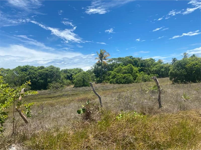 Foto 1 de 2: Terreno em leilão em Itaporanga D'ajuda - SE, bairro Loteamento Vila Rica do Abais — Terreno - Itaporanga D'ajuda - SE