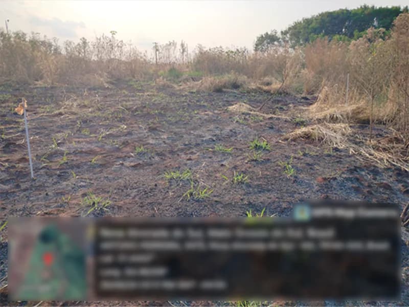 Foto 3 de 4: Terreno em leilão em Nova Alvorada Do Sul - MS — Terreno - Nova Alvorada do Sul - MS