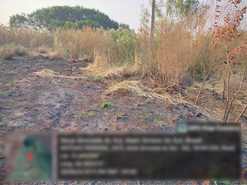 Foto 1 de 4: Terreno em leilão em Nova Alvorada Do Sul - MS — Terreno - Nova Alvorada do Sul - MS
