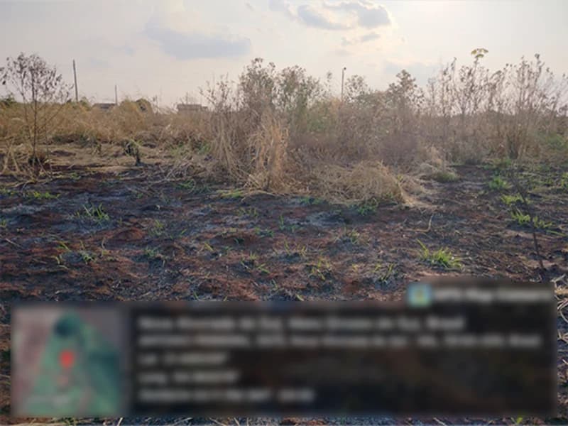 Foto 2 de 4: Terreno em leilão em Nova Alvorada Do Sul - MS — Terreno - Nova Alvorada do Sul - MS