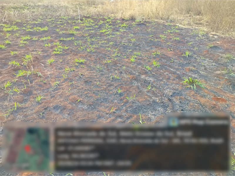 Foto 1 de 4: Terreno em leilão em Nova Alvorada Do Sul - MS — Terreno - Nova Alvorada do Sul - MS