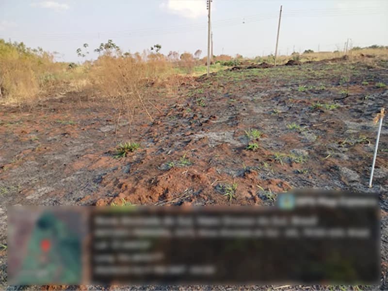 Foto 4 de 4: Terreno em leilão em Nova Alvorada Do Sul - MS — Terreno - Nova Alvorada do Sul - MS