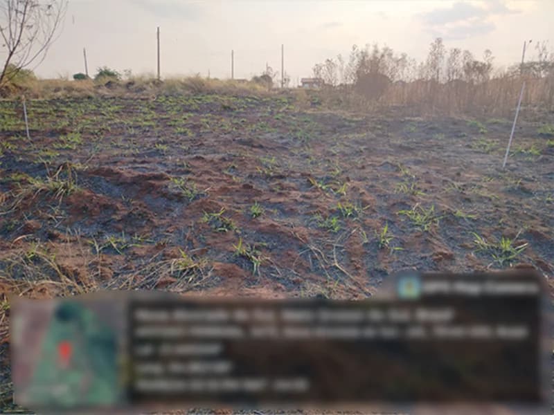 Foto 2 de 4: Terreno em leilão em Nova Alvorada Do Sul - MS — Terreno - Nova Alvorada do Sul - MS