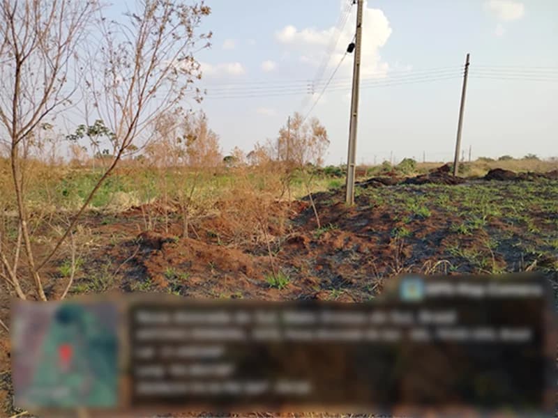 Foto 4 de 4: Terreno em leilão em Nova Alvorada Do Sul - MS — Terreno - Nova Alvorada do Sul - MS