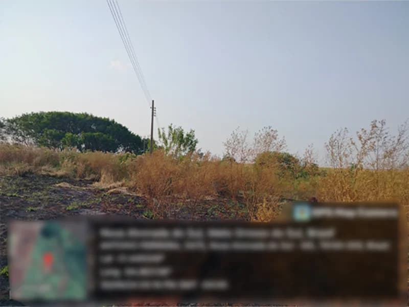 Foto 3 de 4: Terreno em leilão em Nova Alvorada Do Sul - MS — Terreno - Nova Alvorada do Sul - MS