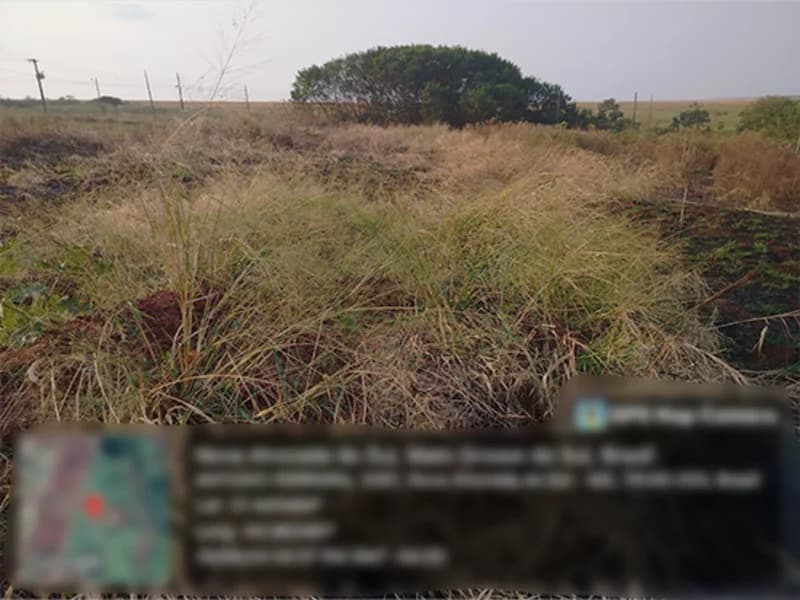 Foto 3 de 3: Terreno em leilão em Nova Alvorada Do Sul - MS — Terreno - Nova Alvorada do Sul - MS