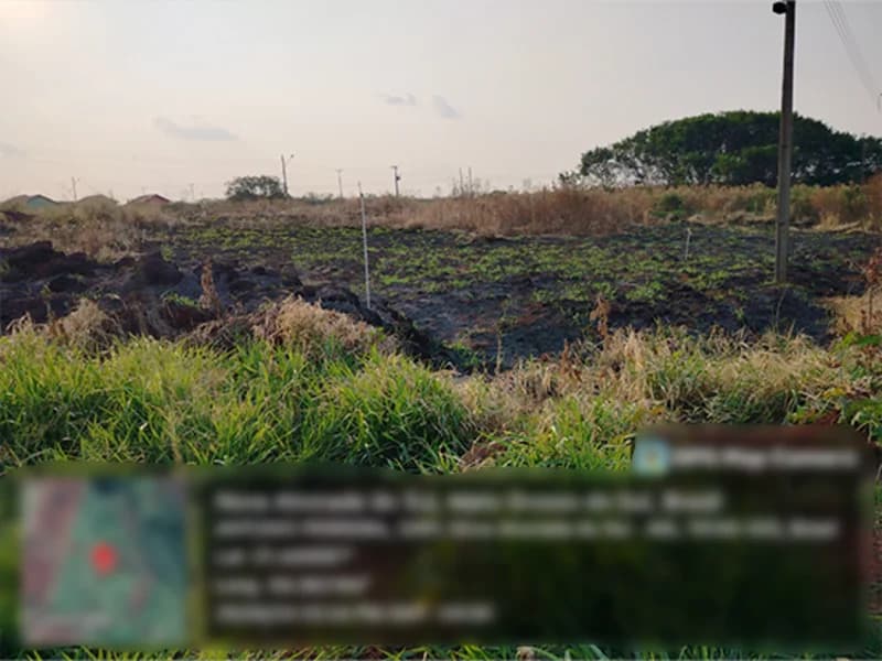 Foto 3 de 4: Terreno em leilão em Nova Alvorada Do Sul - MS — Terreno - Nova Alvorada do Sul - MS