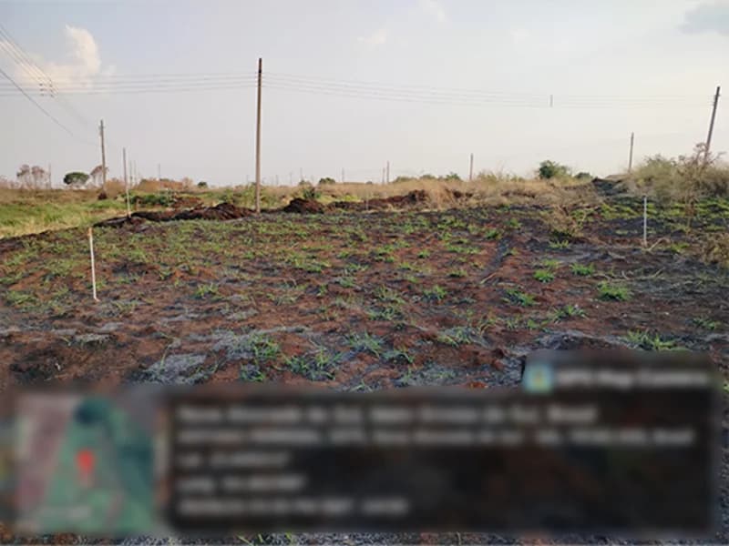 Foto 2 de 4: Terreno em leilão em Nova Alvorada Do Sul - MS — Terreno - Nova Alvorada do Sul - MS