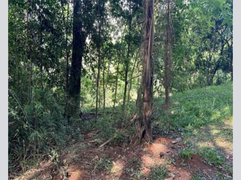 Foto 1 de 14: Terreno em leilão em Prudentópolis - PR — Terreno - Prudentópolis - PR