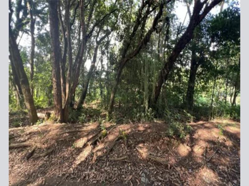 Foto 4 de 14: Terreno em leilão em Prudentópolis - PR — Terreno - Prudentópolis - PR