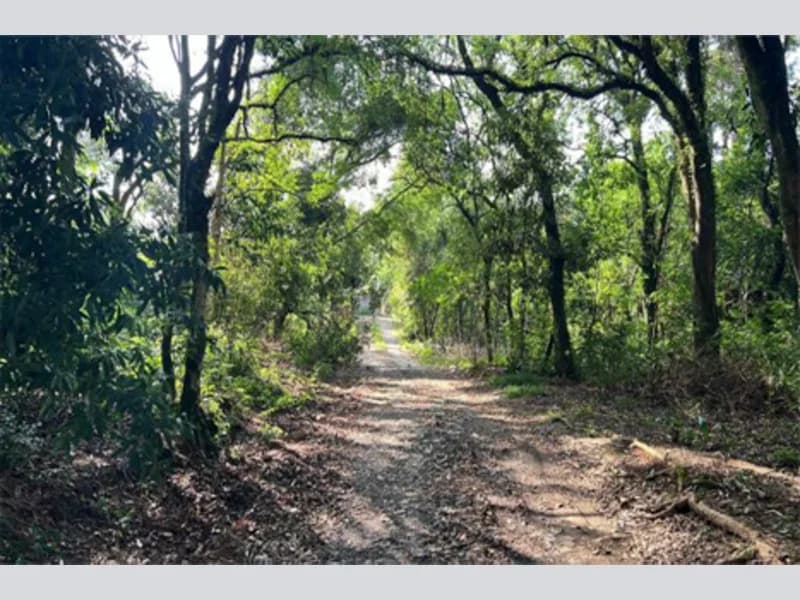 Foto 12 de 14: Terreno em leilão em Prudentópolis - PR — Terreno - Prudentópolis - PR