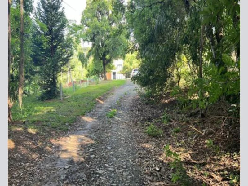 Foto 5 de 14: Terreno em leilão em Prudentópolis - PR — Terreno - Prudentópolis - PR