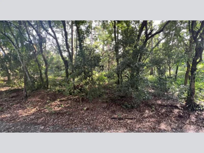 Foto 7 de 14: Terreno em leilão em Prudentópolis - PR — Terreno - Prudentópolis - PR