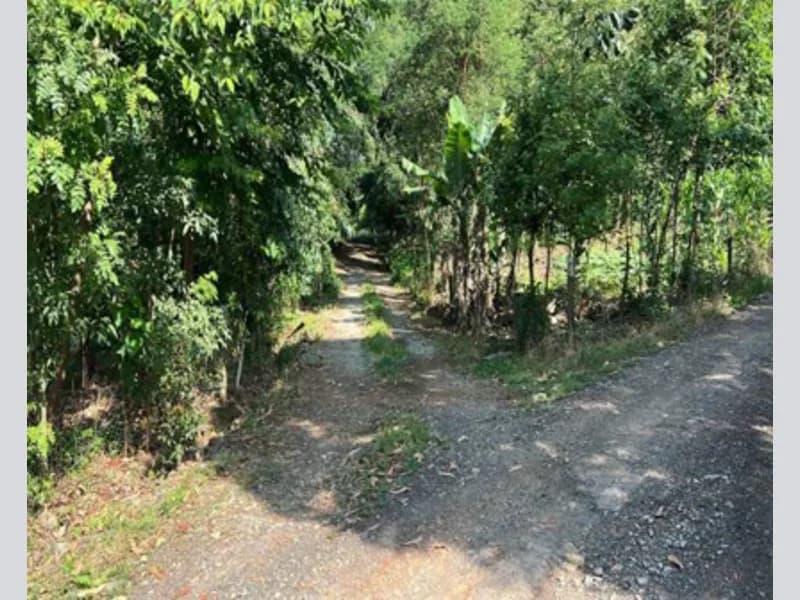Foto 13 de 14: Terreno em leilão em Prudentópolis - PR — Terreno - Prudentópolis - PR