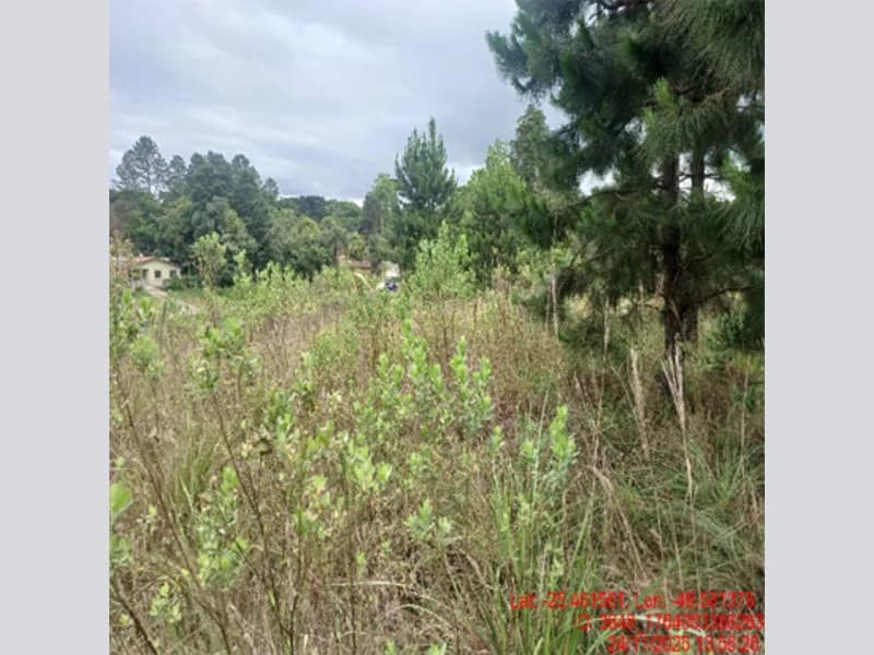 Foto 2 de 18: Terreno em leilão em Balsa Nova - PR — Terreno - Balsa Nova - PR