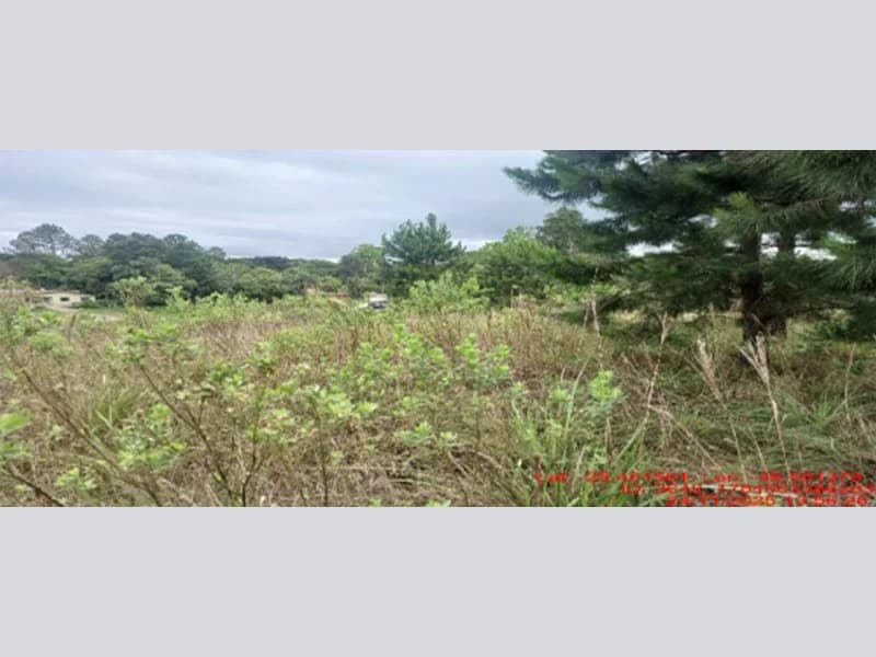 Foto 6 de 18: Terreno em leilão em Balsa Nova - PR — Terreno - Balsa Nova - PR