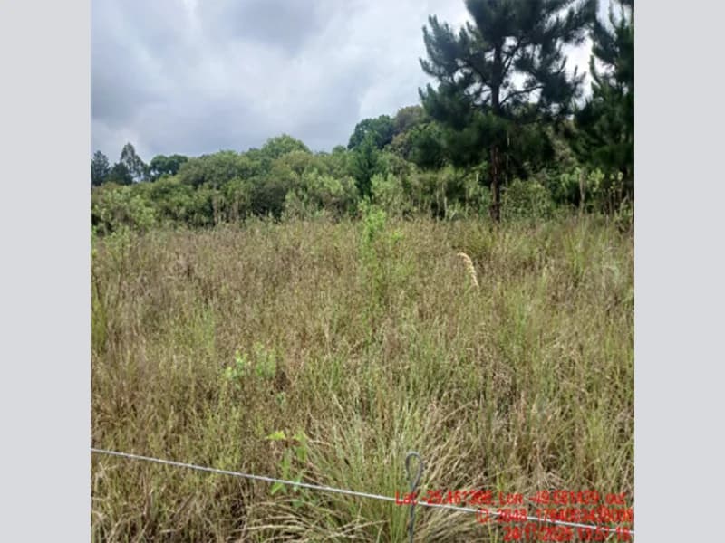 Foto 16 de 18: Terreno em leilão em Balsa Nova - PR — Terreno - Balsa Nova - PR