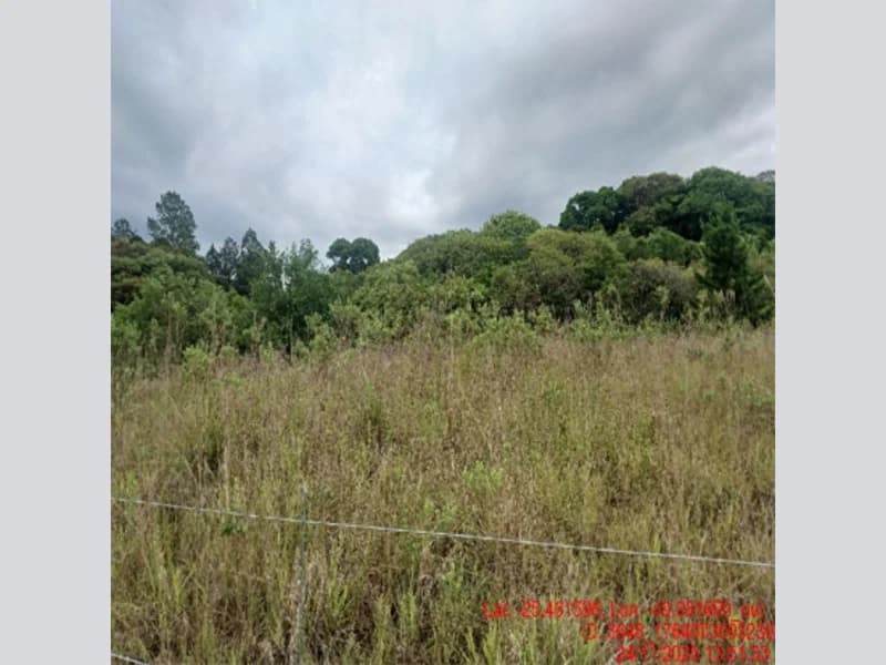 Foto 14 de 18: Terreno em leilão em Balsa Nova - PR — Terreno - Balsa Nova - PR