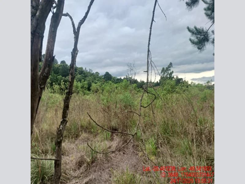Foto 3 de 18: Terreno em leilão em Balsa Nova - PR — Terreno - Balsa Nova - PR
