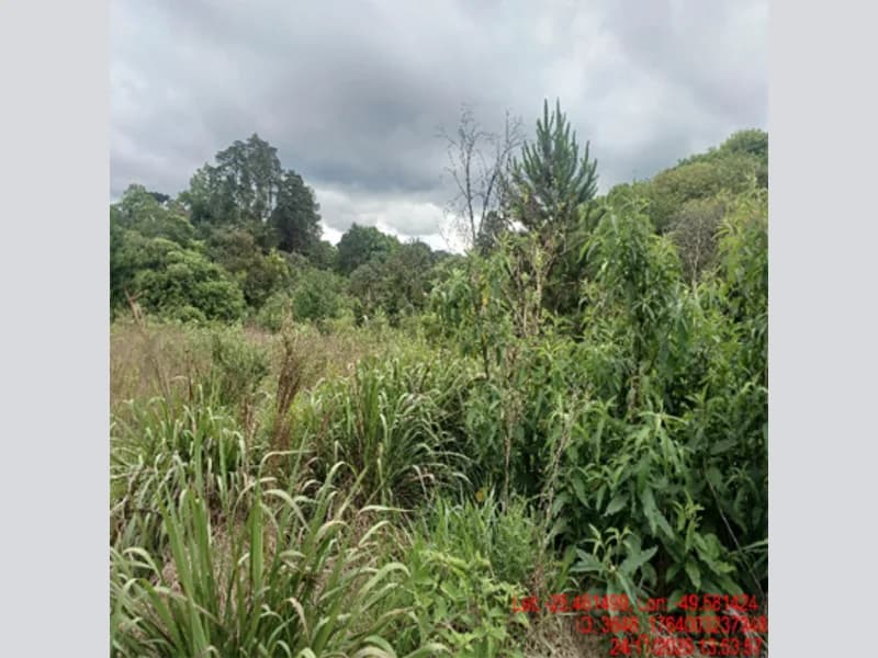 Foto 4 de 18: Terreno em leilão em Balsa Nova - PR — Terreno - Balsa Nova - PR