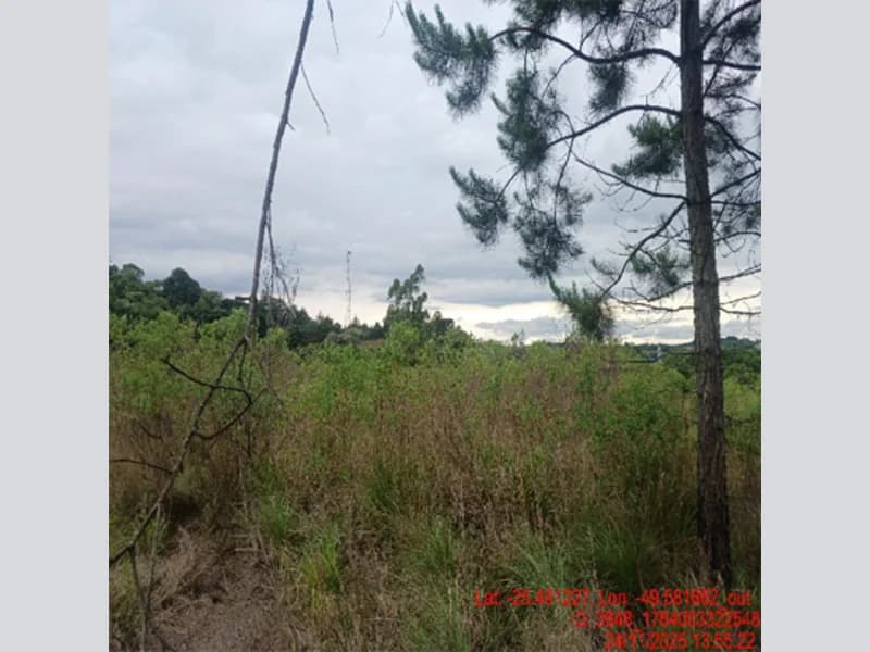 Foto 1 de 18: Terreno em leilão em Balsa Nova - PR — Terreno - Balsa Nova - PR