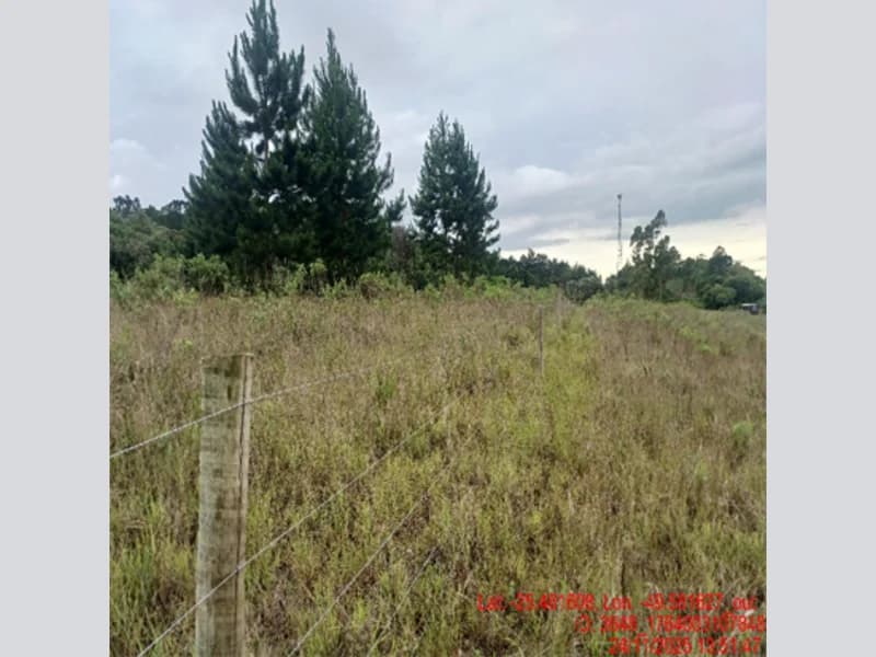 Foto 13 de 18: Terreno em leilão em Balsa Nova - PR — Terreno - Balsa Nova - PR