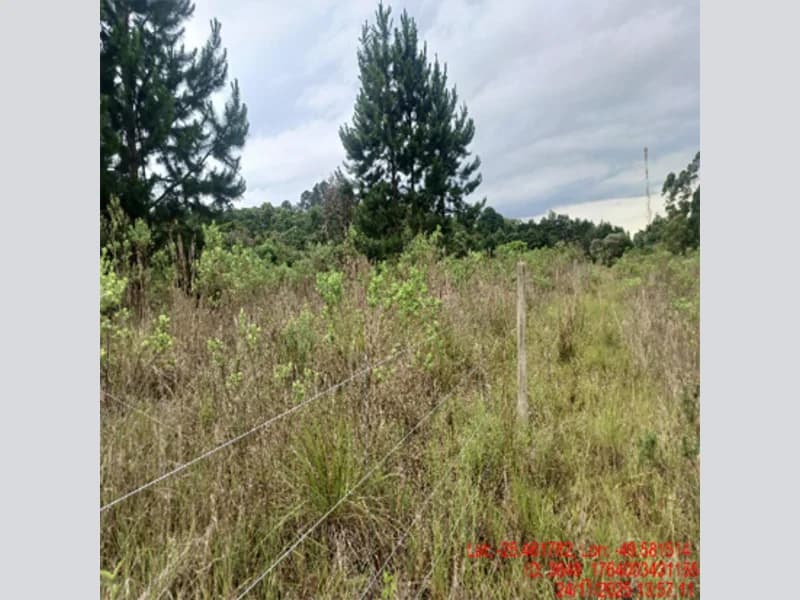 Foto 15 de 18: Terreno em leilão em Balsa Nova - PR — Terreno - Balsa Nova - PR