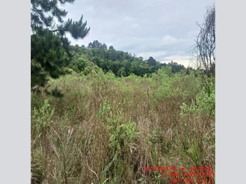 Foto 10 de 18: Terreno em leilão em Balsa Nova - PR — Terreno - Balsa Nova - PR