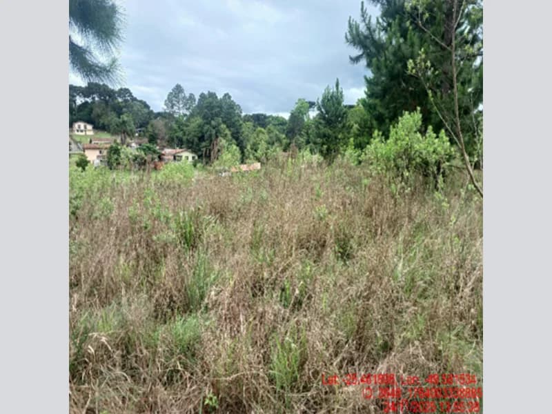 Foto 8 de 18: Terreno em leilão em Balsa Nova - PR — Terreno - Balsa Nova - PR