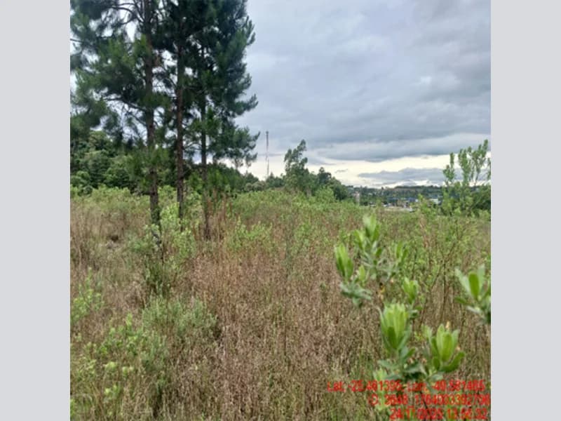Foto 5 de 18: Terreno em leilão em Balsa Nova - PR — Terreno - Balsa Nova - PR