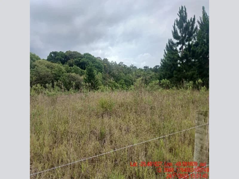 Foto 7 de 18: Terreno em leilão em Balsa Nova - PR — Terreno - Balsa Nova - PR