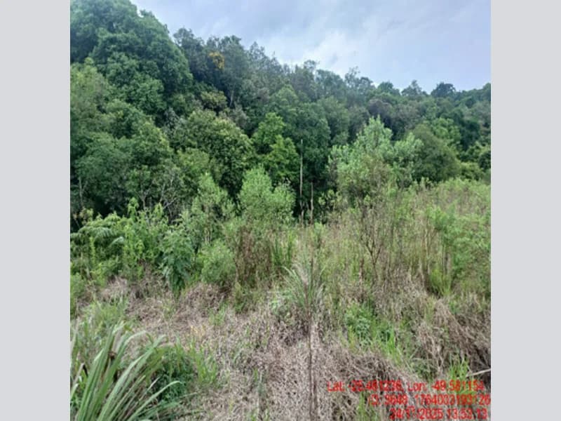 Foto 9 de 18: Terreno em leilão em Balsa Nova - PR — Terreno - Balsa Nova - PR
