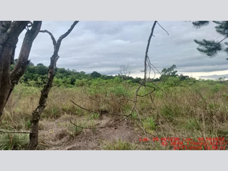 Foto 12 de 18: Terreno em leilão em Balsa Nova - PR — Terreno - Balsa Nova - PR