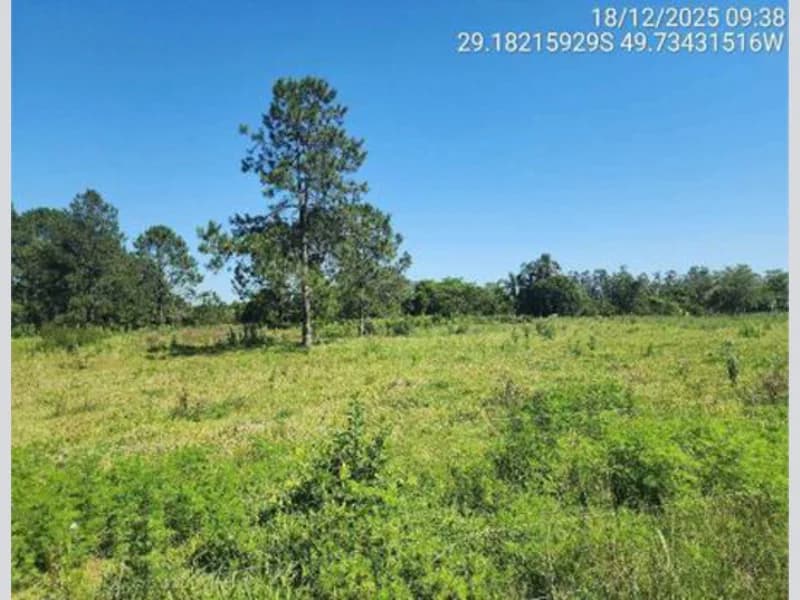 Foto 11 de 18: Terreno em leilão em São João Do Sul - SC, bairro Vila Conceição — Terreno - São João do Sul - SC