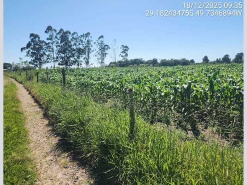 Foto 1 de 18: Terreno em leilão em São João Do Sul - SC, bairro Vila Conceição — Terreno - São João do Sul - SC