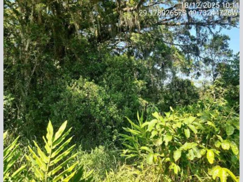 Foto 9 de 18: Terreno em leilão em São João Do Sul - SC, bairro Vila Conceição — Terreno - São João do Sul - SC