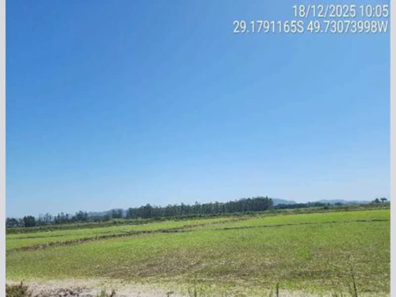 Foto 5 de 18: Terreno em leilão em São João Do Sul - SC, bairro Vila Conceição — Terreno - São João do Sul - SC