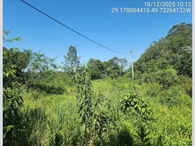 Foto 18 de 18: Terreno em leilão em São João Do Sul - SC, bairro Vila Conceição — Terreno - São João do Sul - SC