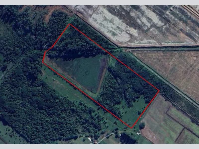 Foto 16 de 18: Terreno em leilão em São João Do Sul - SC, bairro Vila Conceição — Terreno - São João do Sul - SC