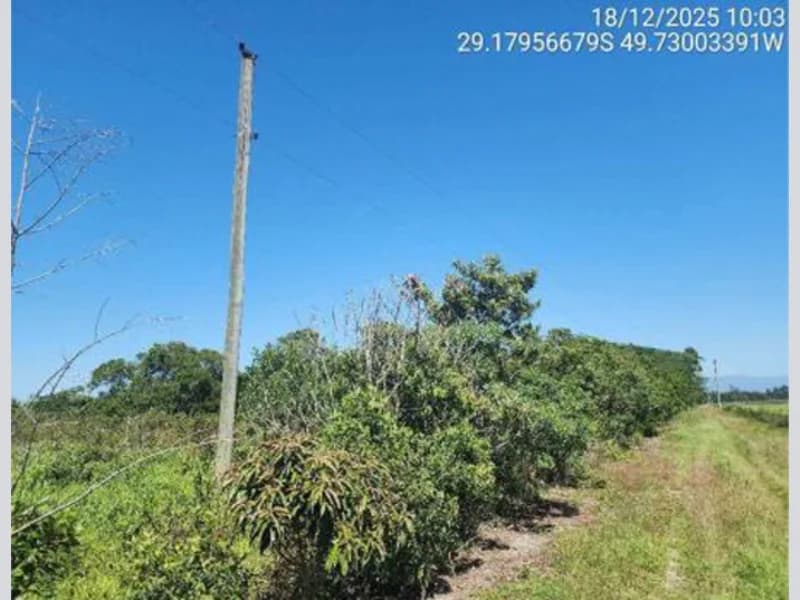 Foto 8 de 18: Terreno em leilão em São João Do Sul - SC, bairro Vila Conceição — Terreno - São João do Sul - SC