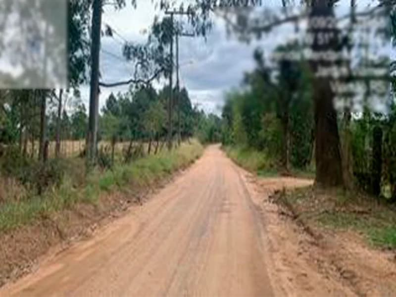 Foto 11 de 25: Terreno em leilão em Viamão - RS — Espaço para eventos - Viamão - RS