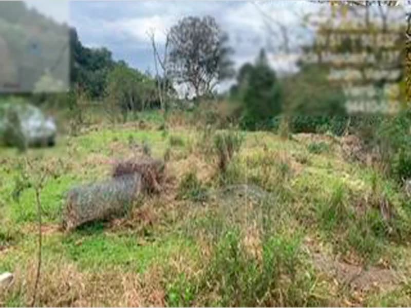 Foto 15 de 25: Terreno em leilão em Viamão - RS — Espaço para eventos - Viamão - RS