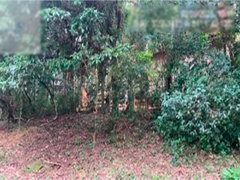 Foto 20 de 25: Terreno em leilão em Viamão - RS — Espaço para eventos - Viamão - RS