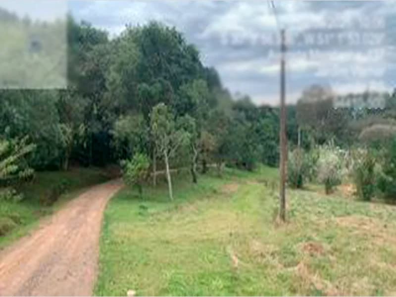 Foto 23 de 25: Terreno em leilão em Viamão - RS — Espaço para eventos - Viamão - RS
