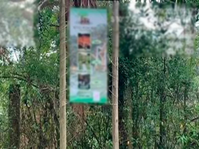 Foto 24 de 25: Terreno em leilão em Viamão - RS — Espaço para eventos - Viamão - RS