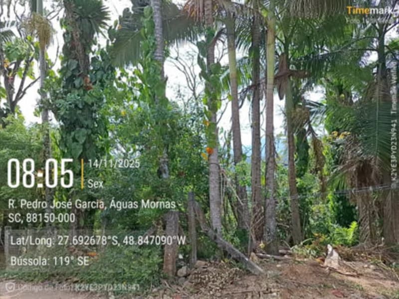 Foto 9 de 19: Terreno em leilão em Santo Amaro Da Imperatriz - SC — Terrenos - Santo Amaro da Imperatriz - SC