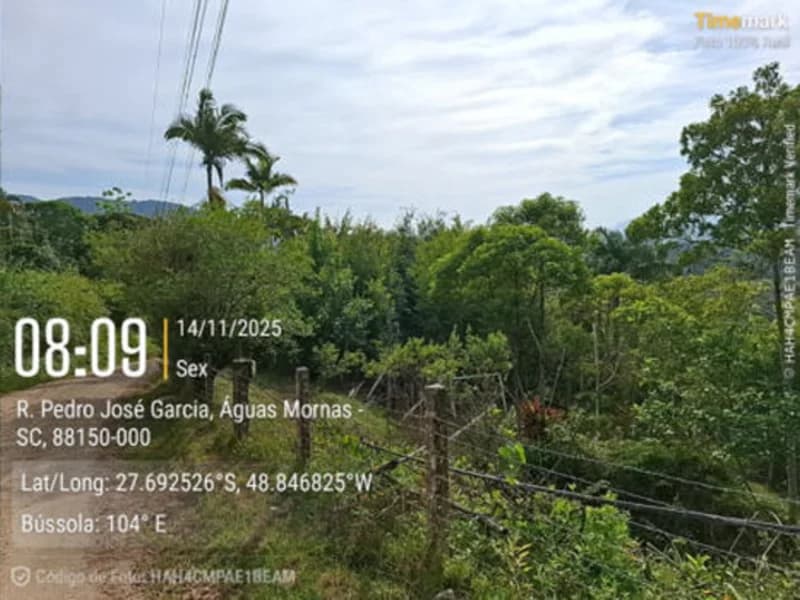 Foto 11 de 19: Terreno em leilão em Santo Amaro Da Imperatriz - SC — Terrenos - Santo Amaro da Imperatriz - SC